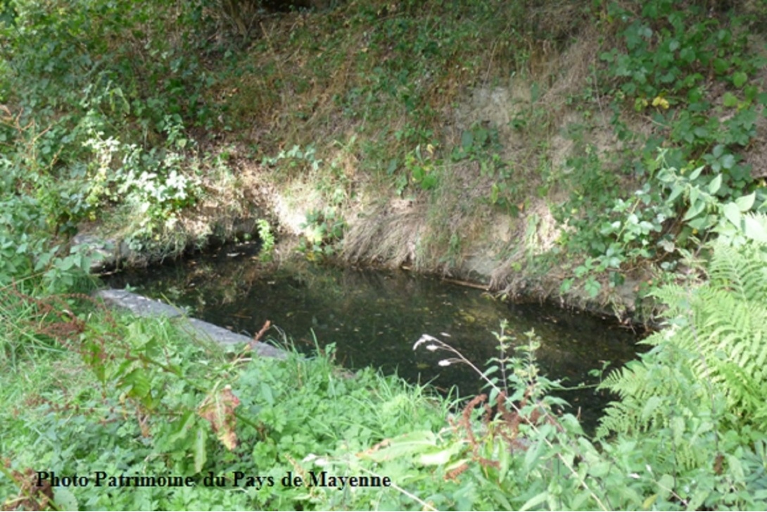 Mayenne - Lavoir de Tord-Sabot (2015)