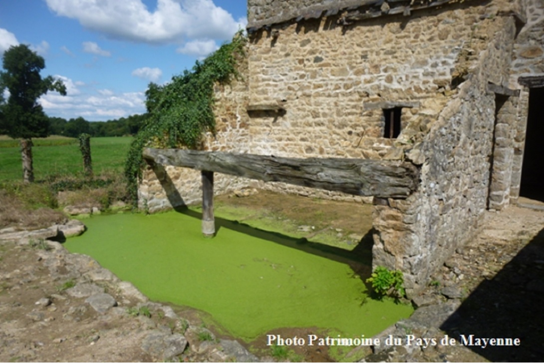 Saint-Germain-d'Anxure - Vestiges d'un lavoir privé, route d'Alexain (2015)